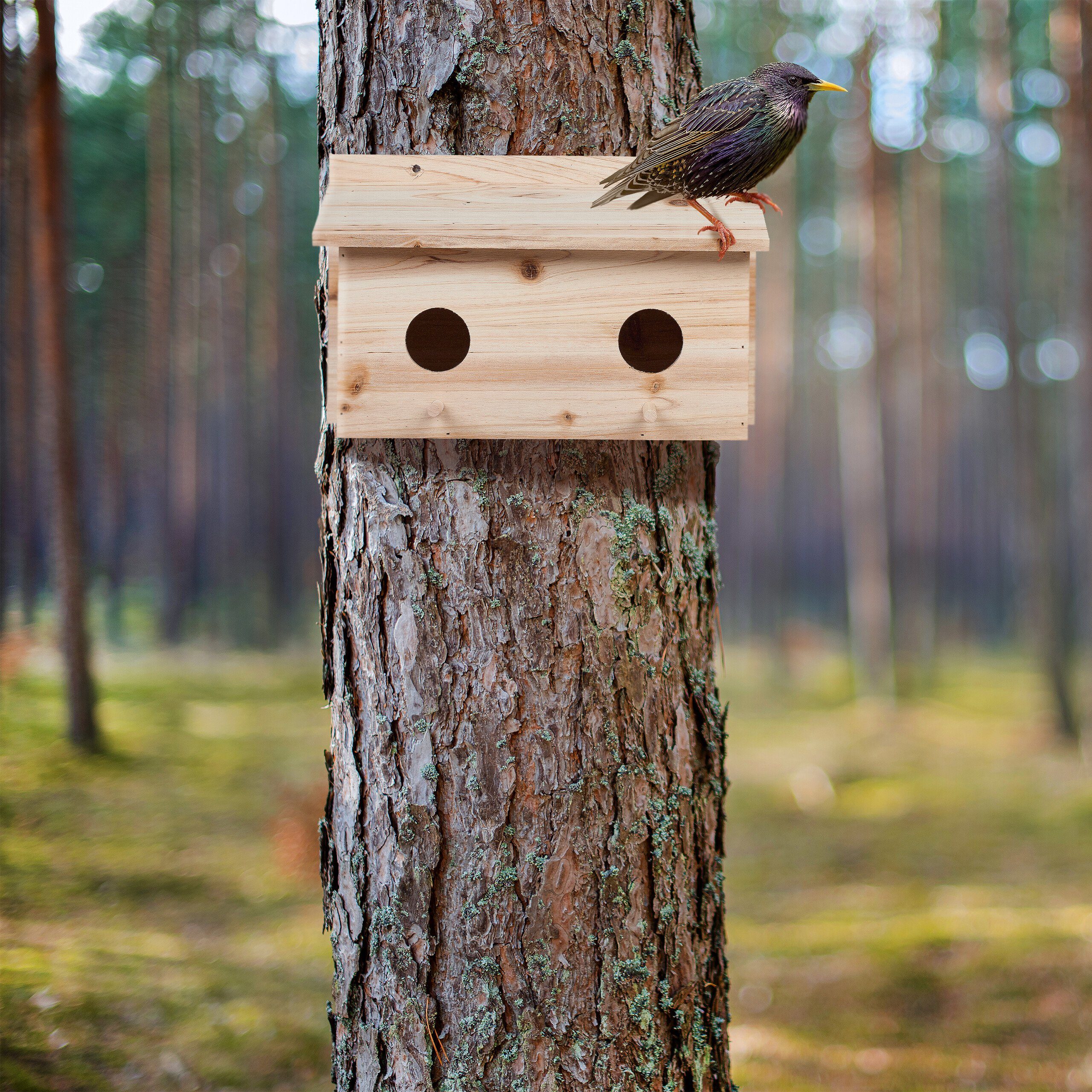 Stare Nistkasten relaxdays für Vogelhaus