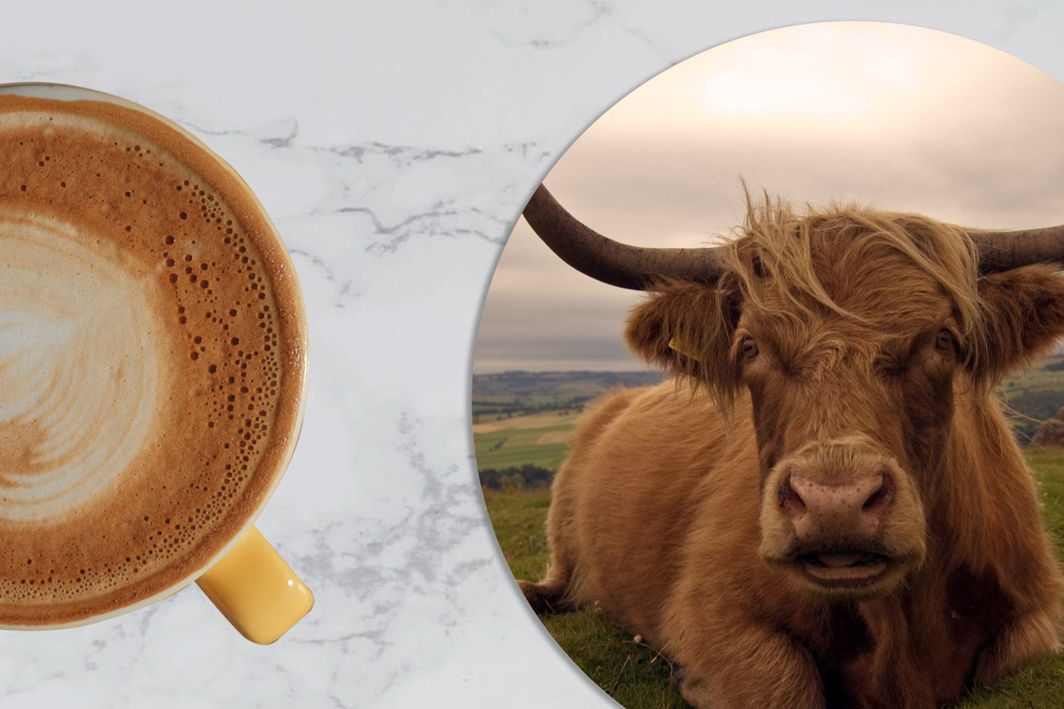 Highlander Tiere MuchoWow Zubehör für Becher - Korkuntersetzer, Tasse, Tassenuntersetzer, Schottischer 6-tlg., Glasuntersetzer Gläser, Getränkeuntersetzer, Berg, -