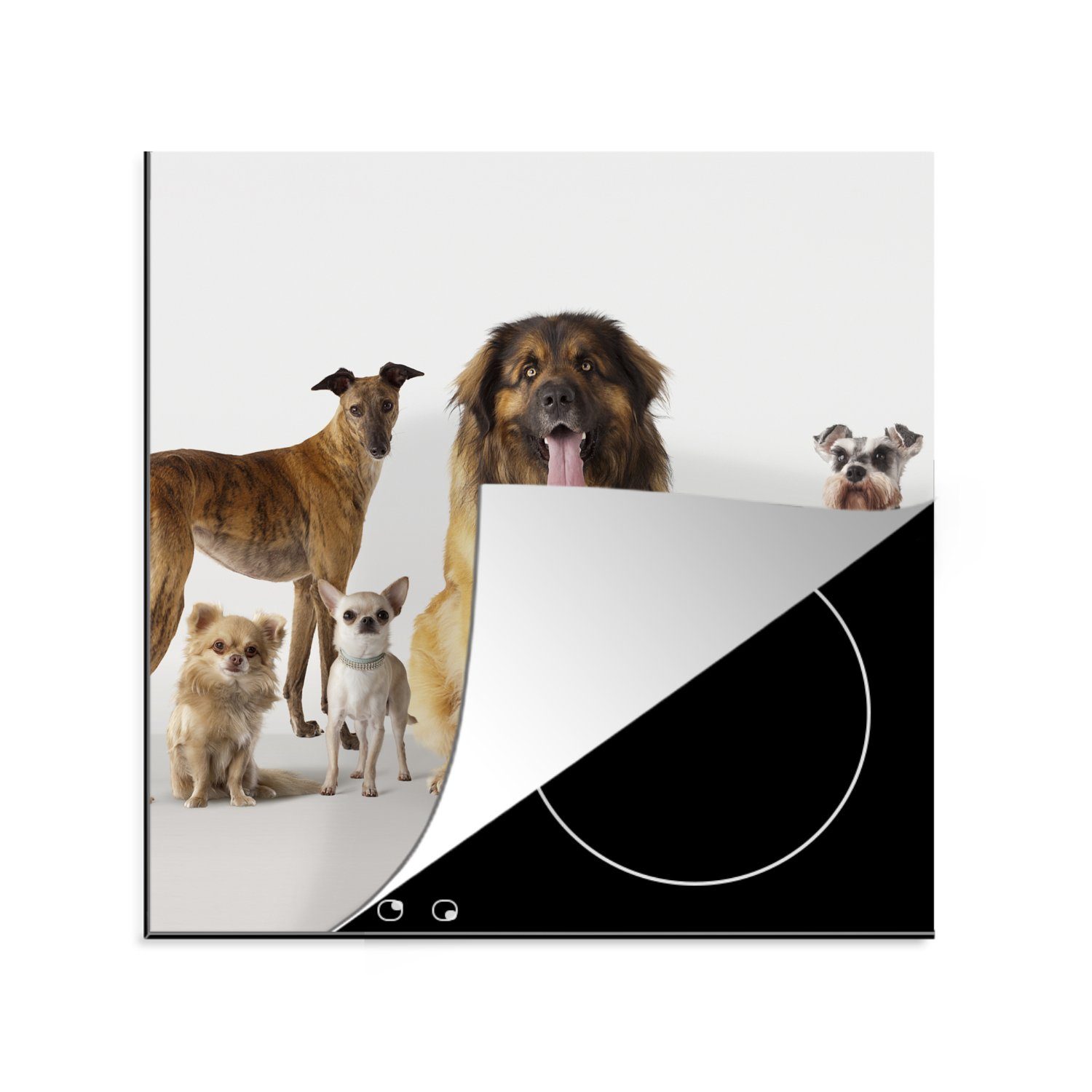 Herdblende-/Abdeckplatte küche für 78x78 Gruppenbild Vinyl, von Hunden, MuchoWow Arbeitsplatte tlg), (1 cm, Ceranfeldabdeckung,