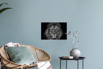 MuchoWow Wandsticker Löwe - Tiere - Schwarz - Weiß (1 St), Wandaufkleber, Wandtattoo, Selbstklebend, Wohnzimmer, Schlafzimmer