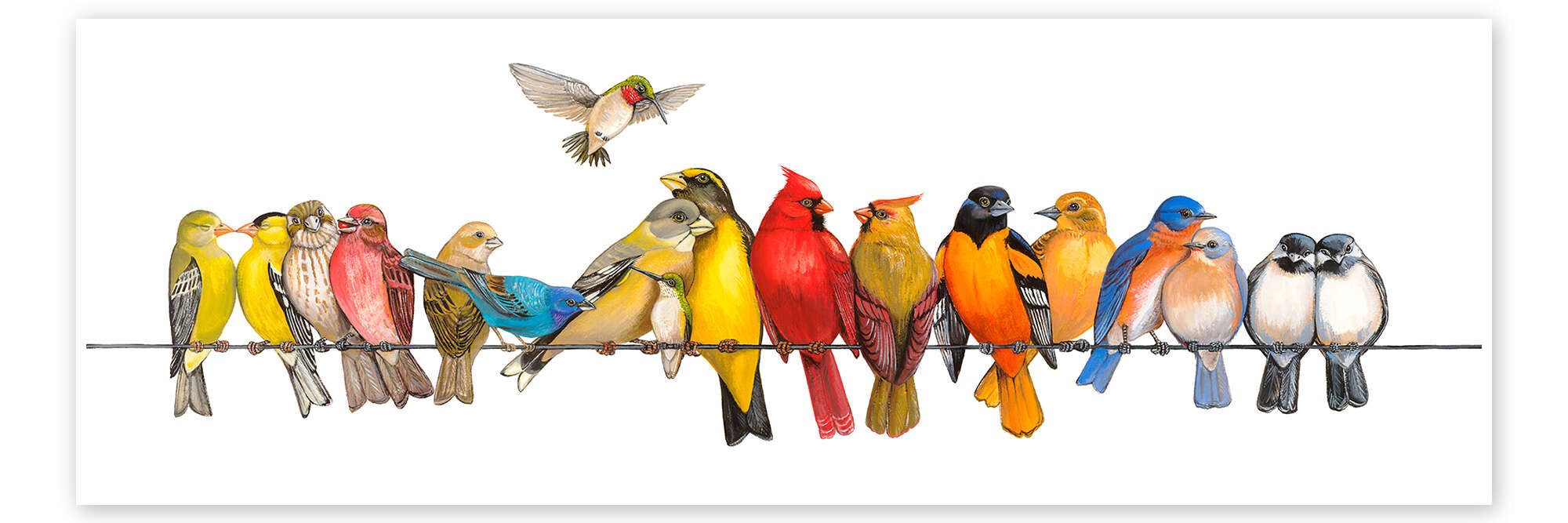 Posterlounge Wandbild Große Vogelmenagerie I, Wendy Russell, erhältlich als Poster, Leinwandbild, Wandsticker oder Acrylglasbild