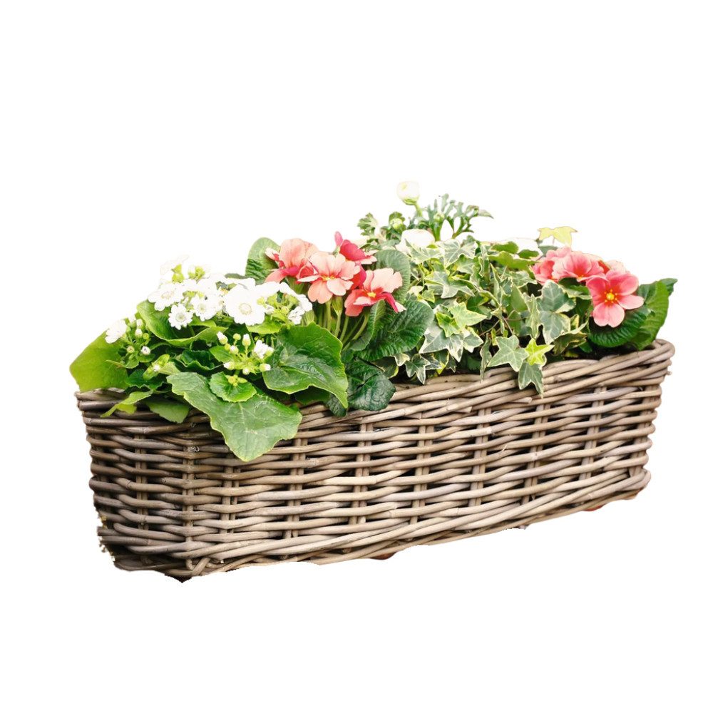 Home-trends24.de Balkonkasten Rattan Blumenkasten Цветочные ящики Blumentopf mit Metallbügel 58 cm