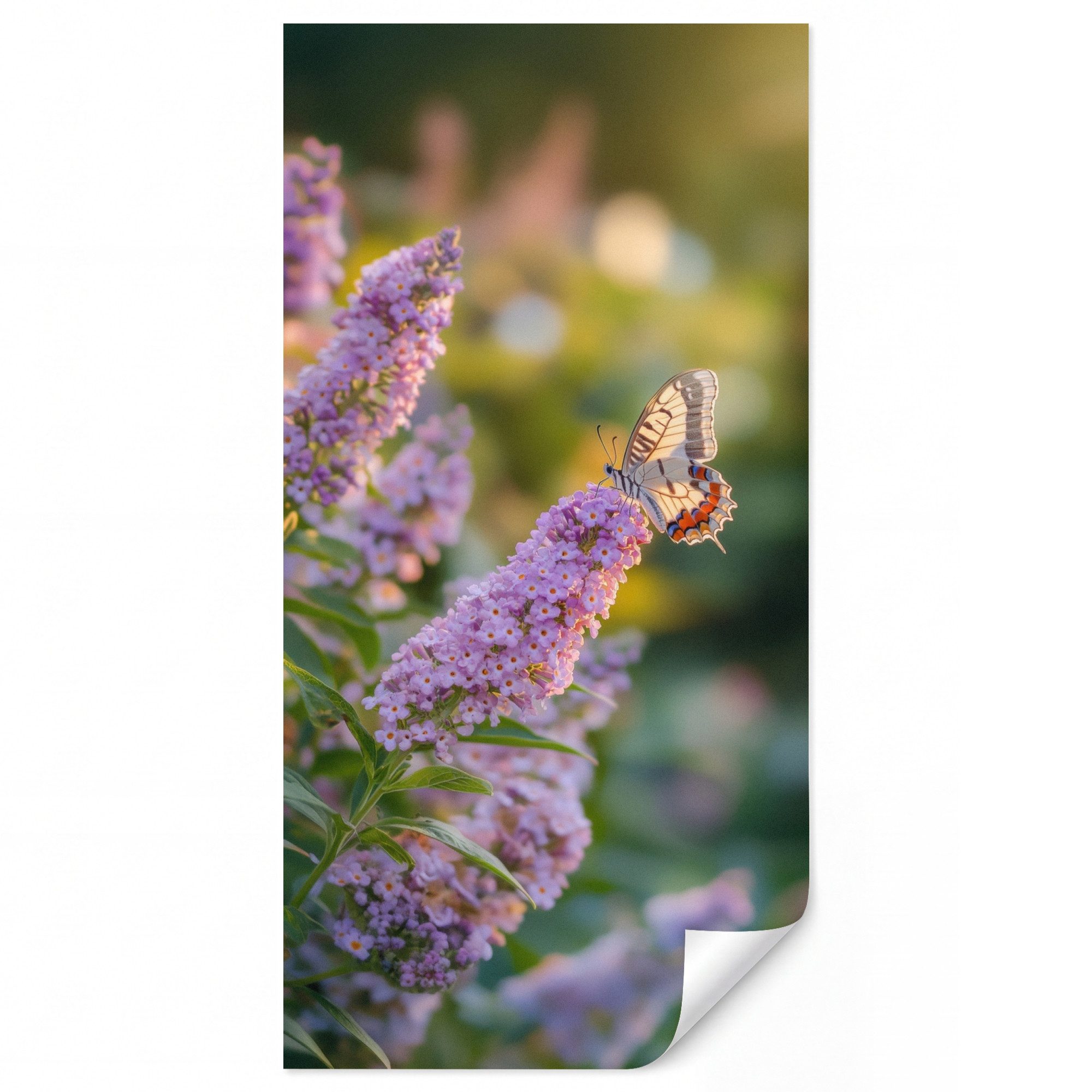 OnlyWow Fototapete Verschnörkelt - Schmetterling - Lila - Blumen, Matt, bedruckt, Wandtapete, Schlafzimmer, Wanddekoration 100x220cm