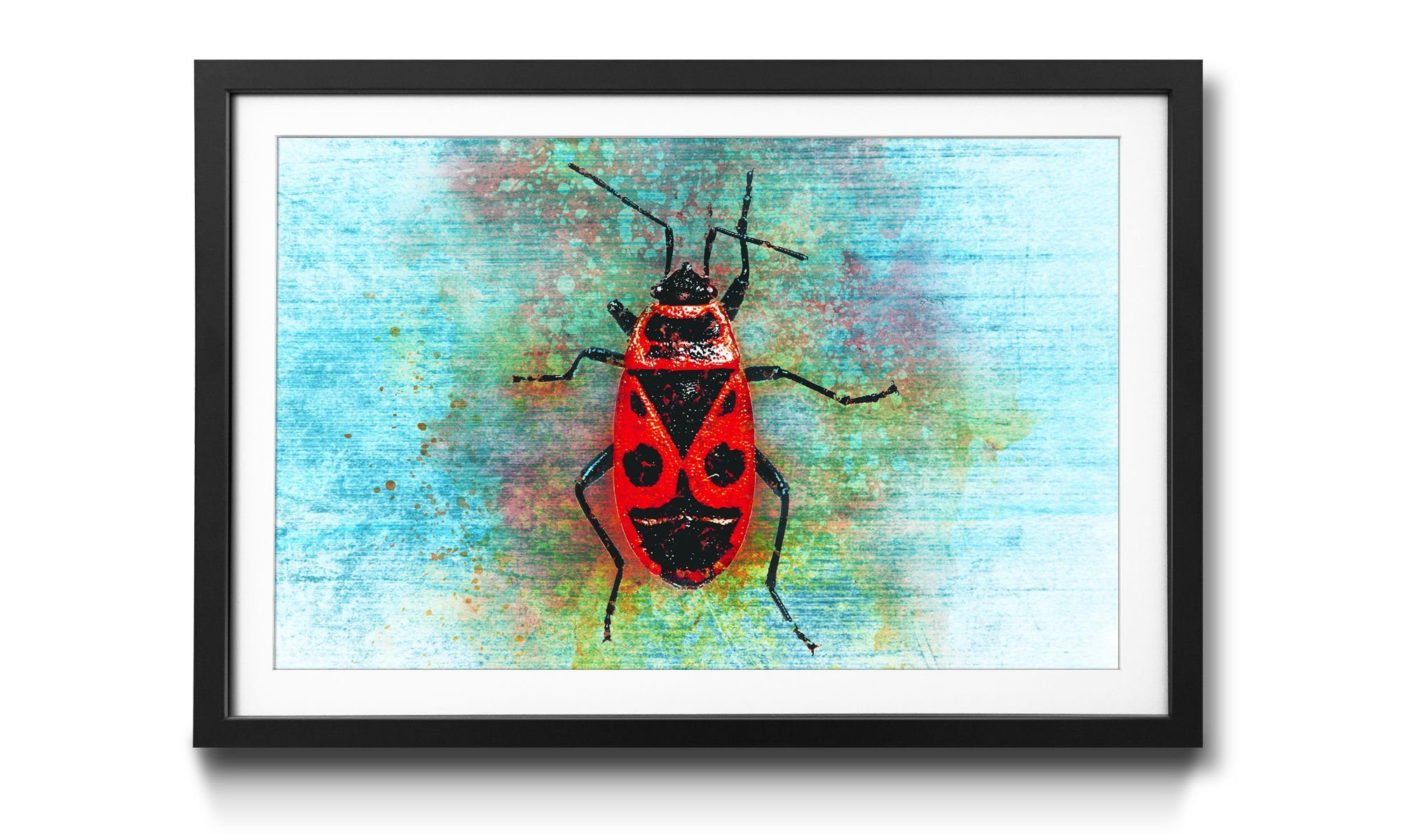 WandbilderXXL Bild mit Rahmen Firebug, Schmetterling, Wandbild, in 4 Größen erhältlich