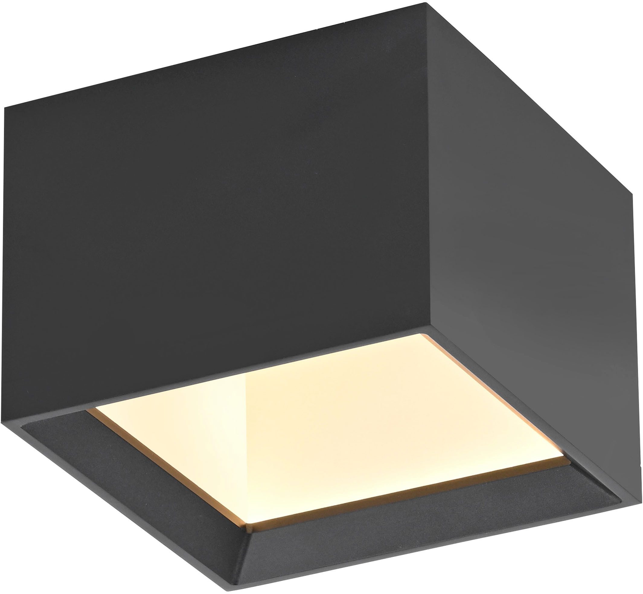 Neuhaus PURE LED Deckenleuchte PURE Manhattan, CCT - über Fernbedienung, LED fest integriert, warmweiß - kaltweiß, Stufenloses dimmen per Funk-Fernbedienung, CCT, Multicolor