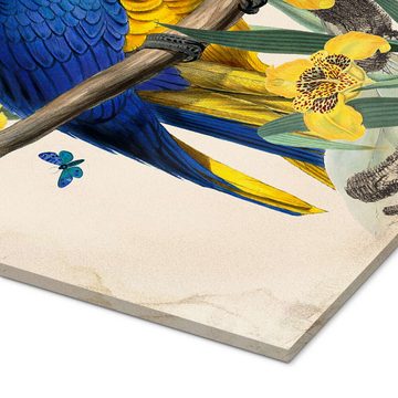 Posterlounge Acrylglasbild Mandy Reinmuth, Exotische Papageien IX, Wohnzimmer Orientalisches Flair Grafikdesign