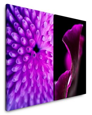 Sinus Art Leinwandbild 2 Bilder je 60x90cm Koralle Unterwasser Blüte Orchidee Nahaufnahme Fotokunst Violett