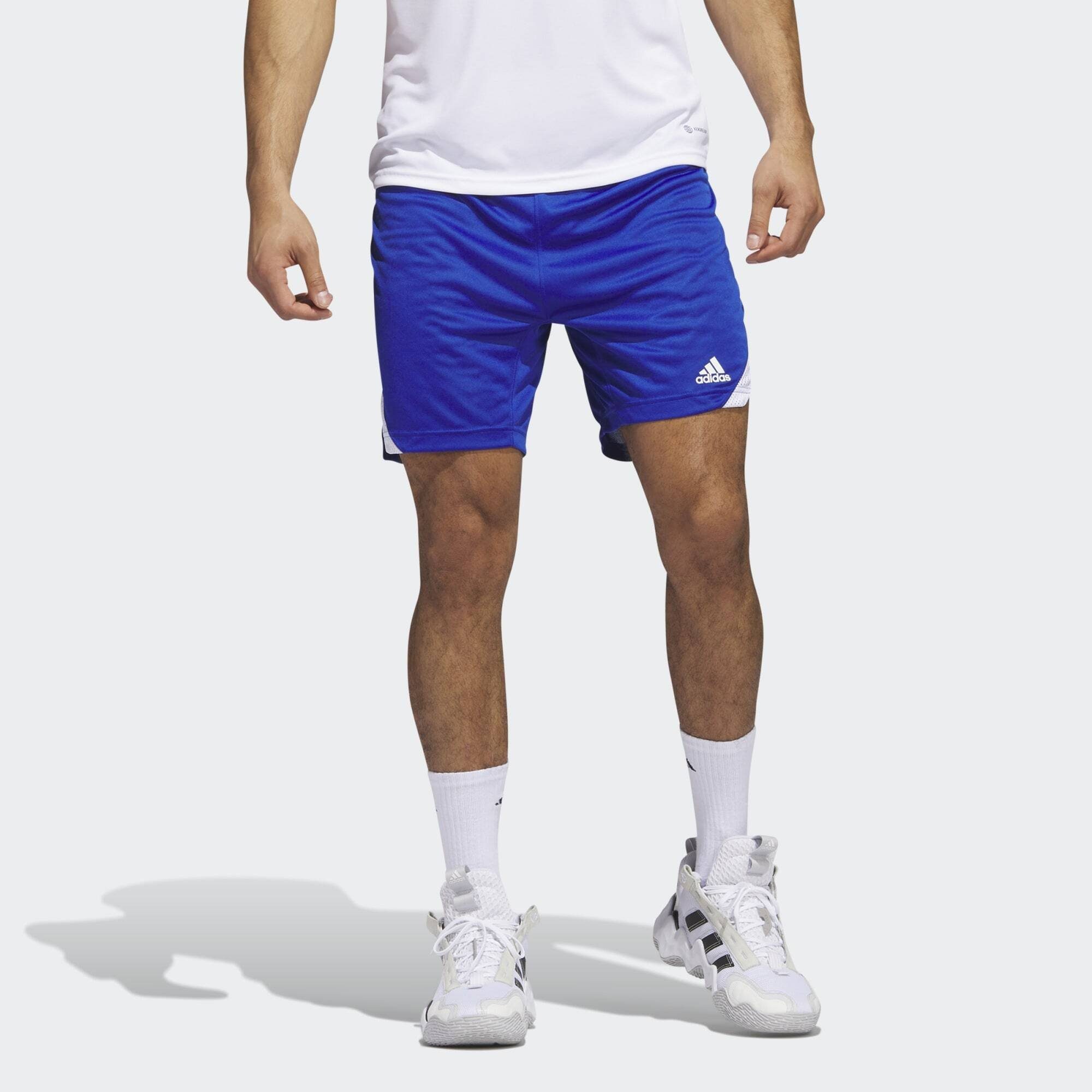 adidas Performance Funktionsshorts ICON SQUAD SHORTS Royal Blue / White