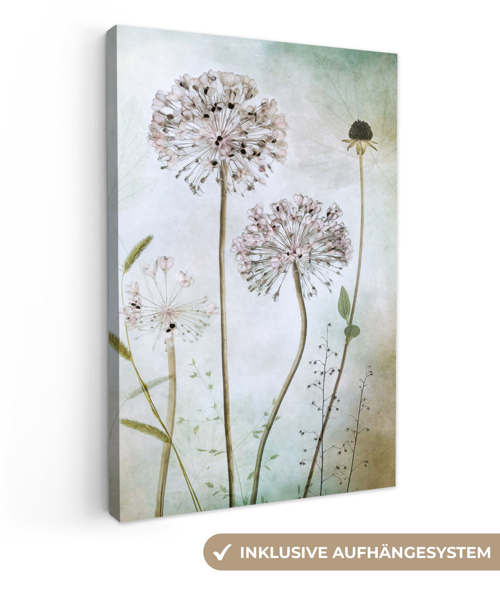 OneMillionCanvasses® Leinwandbild Dekorative Pflanzen, - inkl. (1 Blumen St), Zwiebel Stilleben cm Zackenaufhänger, bespannt - Leinwandbild - 20x30 Gemälde, fertig