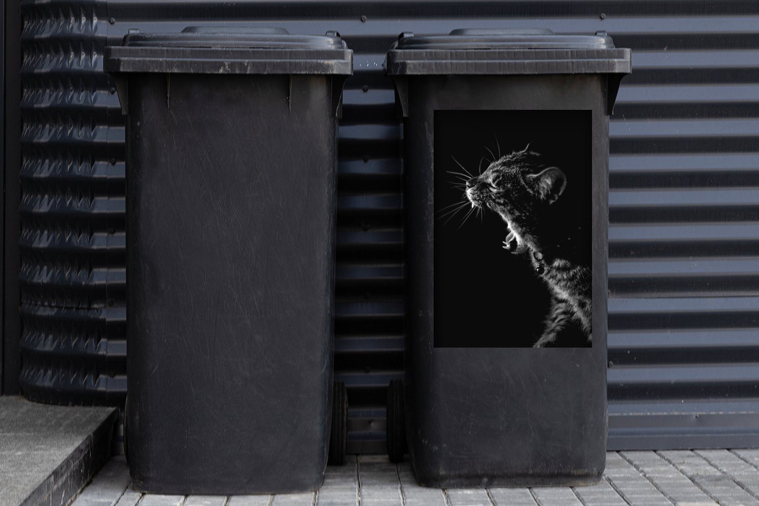 St), Tiere Mülltonne, Sticker, Weiß Mülleimer-aufkleber, Wandsticker - - - Katze Abfalbehälter Schwarz (1 Container, MuchoWow