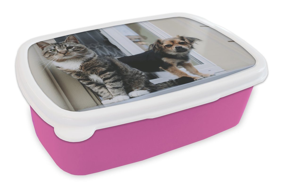 MuchoWow Lunchbox Katze - Hund - Tiere, Kunststoff, (2-tlg), Brotbox für Erwachsene, Brotdose Kinder, Snackbox, Mädchen, Kunststoff rosa