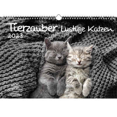 Seelenzauber Wandkalender »Tierzauber lustige Katzen DIN A3 Kalender für«
