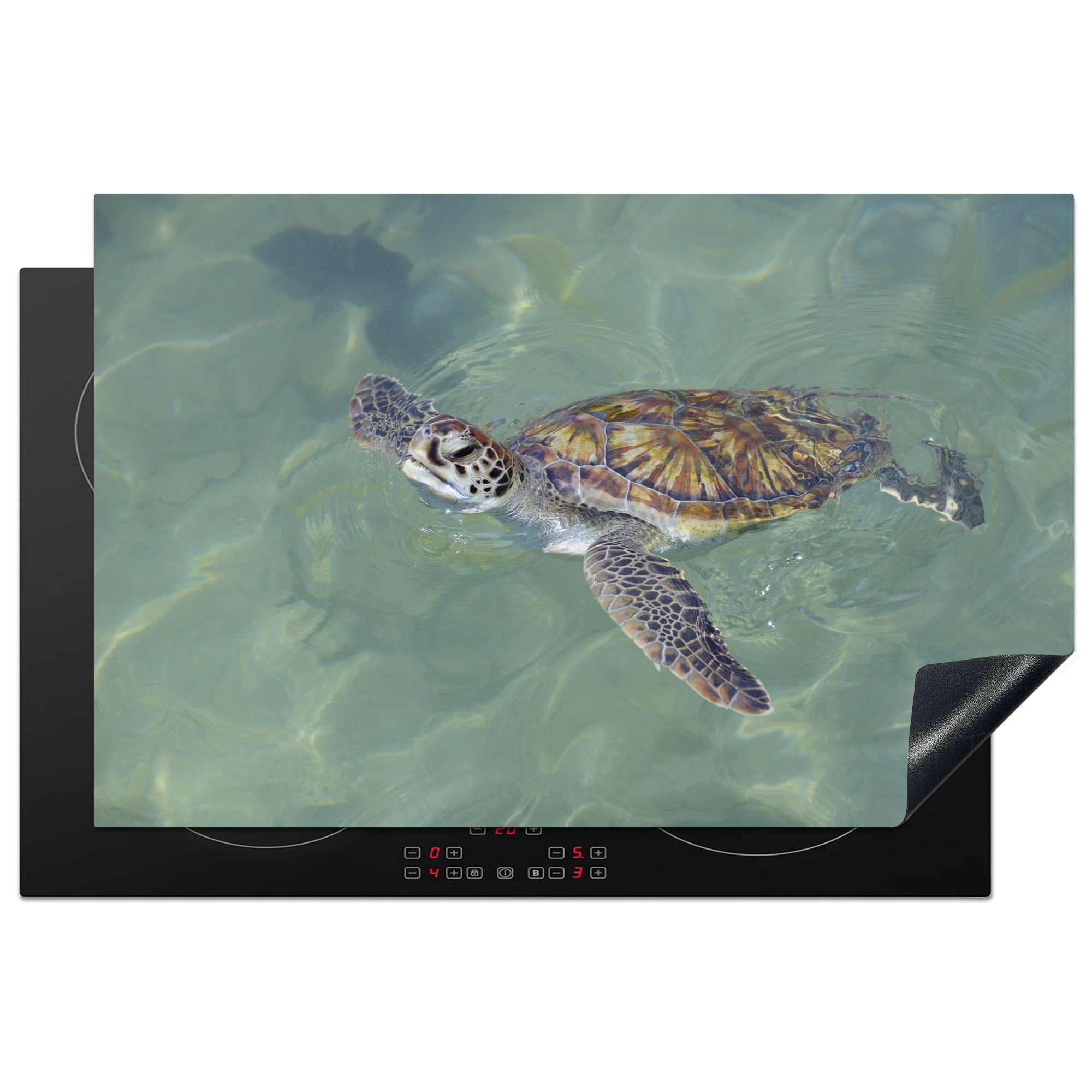 MuchoWow Herdblende-/Abdeckplatte Schildkröte schwimmt im Wasser, Vinyl, (1 tlg), 81x52 cm, Induktionskochfeld Schutz für die küche, Ceranfeldabdeckung