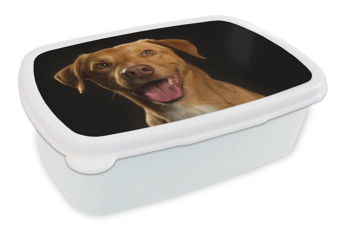 Mädchen Brotdose, Jungs (2-tlg), für Erwachsene, Lunchbox Porträt, - und - MuchoWow Kunststoff, Brotbox weiß für Hund Kinder Haustiere und