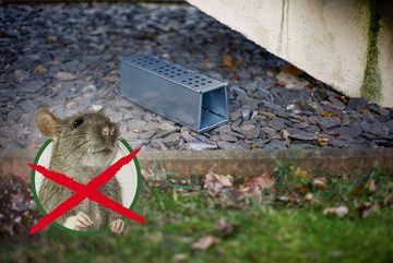 Gardigo Lebendfalle, für Ratten, Metall