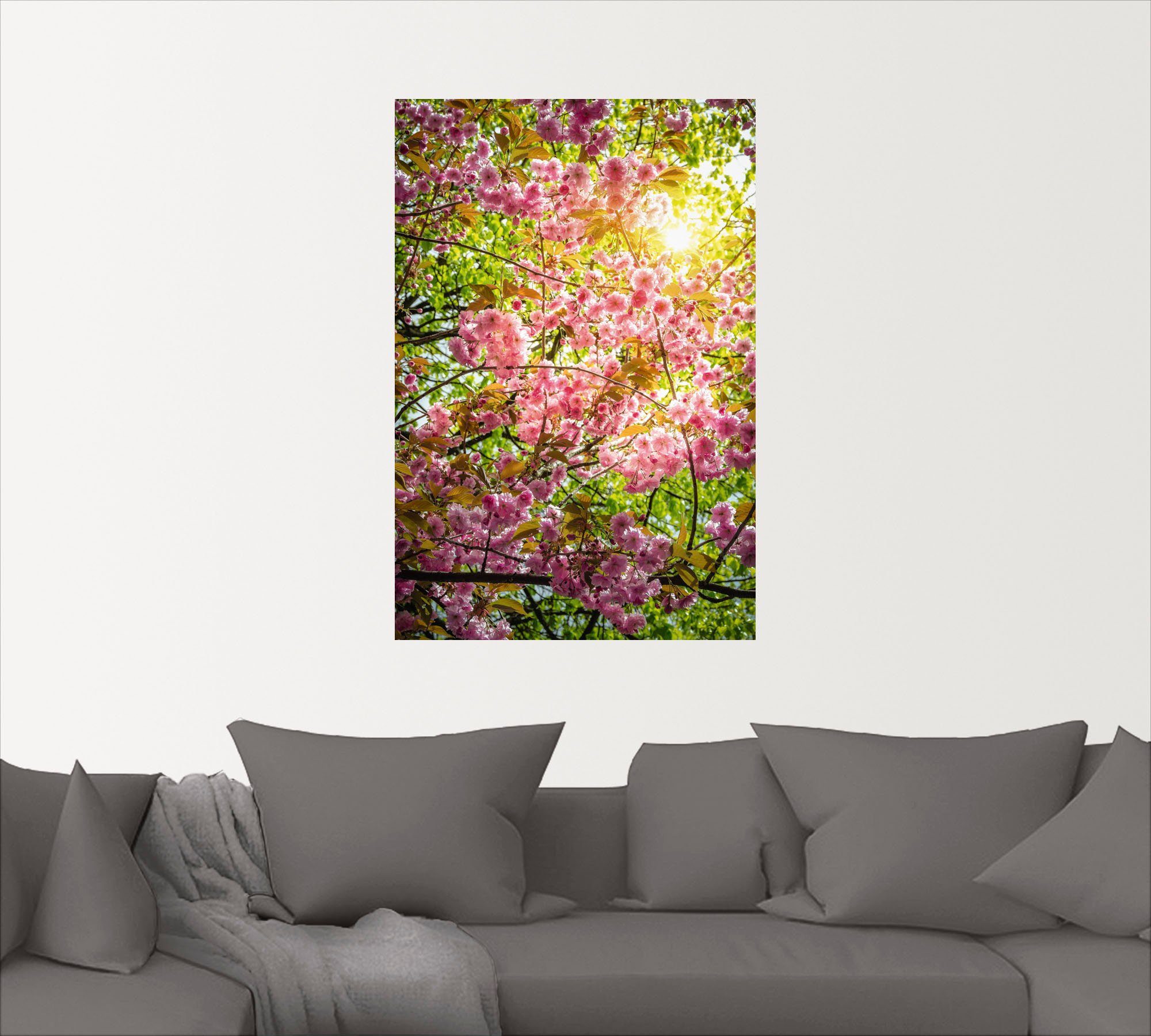 oder St), Alubild, in versch. Poster Vier Wandbild Jahreszeiten Größen (1 Kirschblüte, als Japanische Leinwandbild, Wandaufkleber Artland