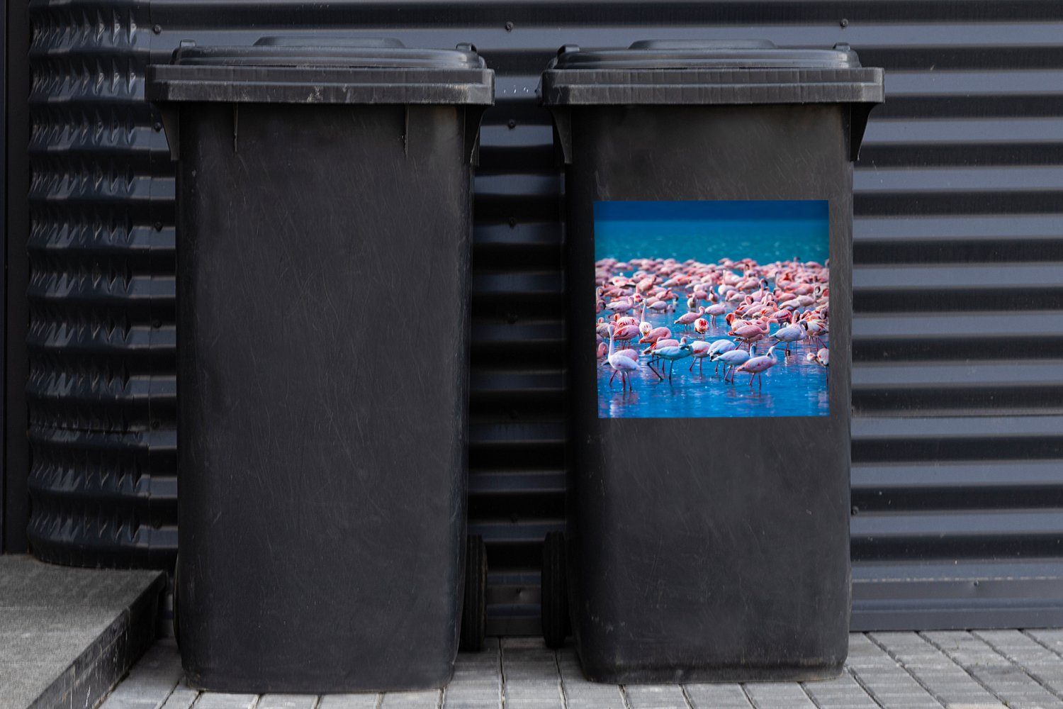 - St), Mülltonne, Abfalbehälter Container, (1 Tropisch - Flamingo Sticker, - MuchoWow Rosa Wasser Mülleimer-aufkleber, Wandsticker
