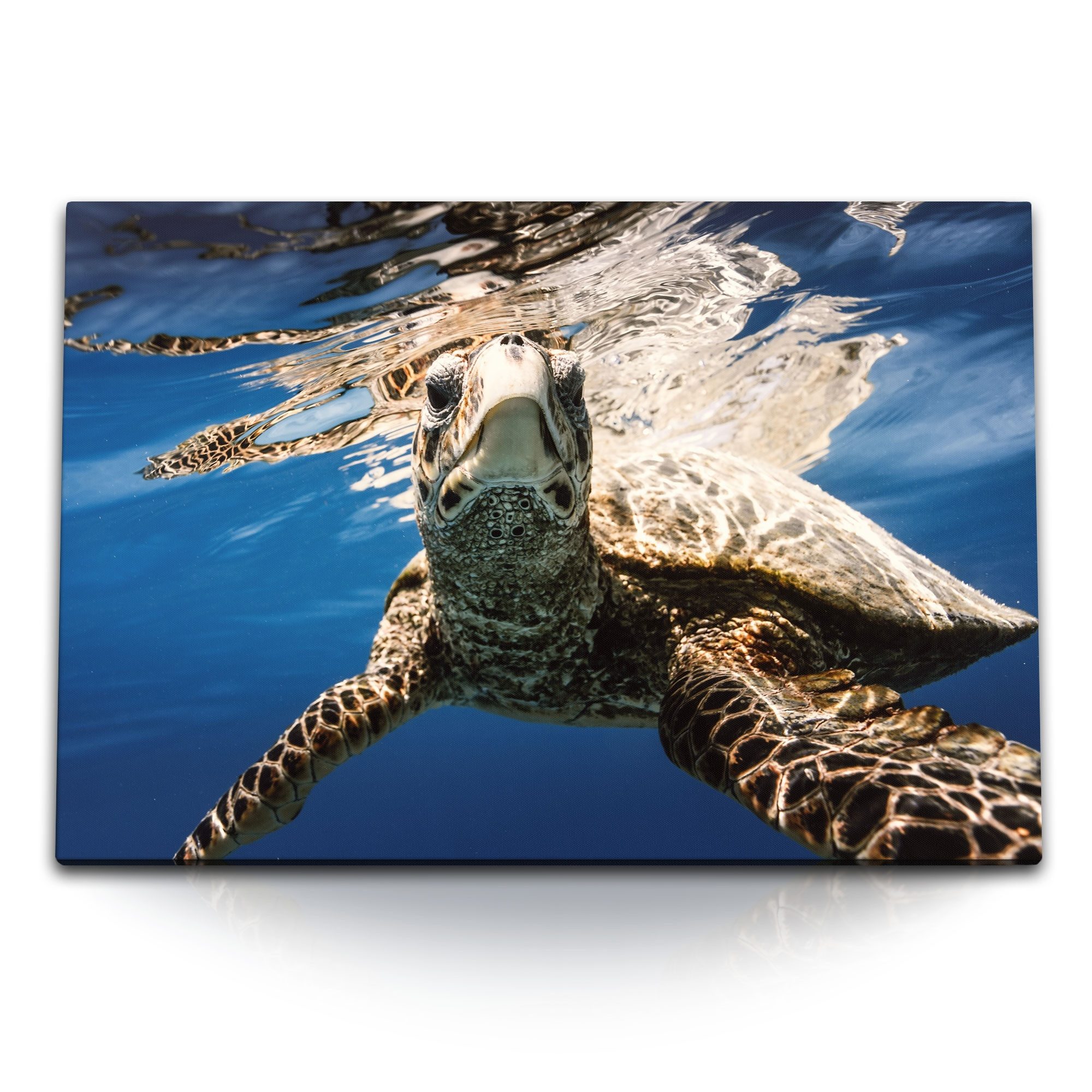 Leinwandbild 120x80cm Wandbild auf Leinwand Seeschildkröte unter Wasser Blau Tierfo