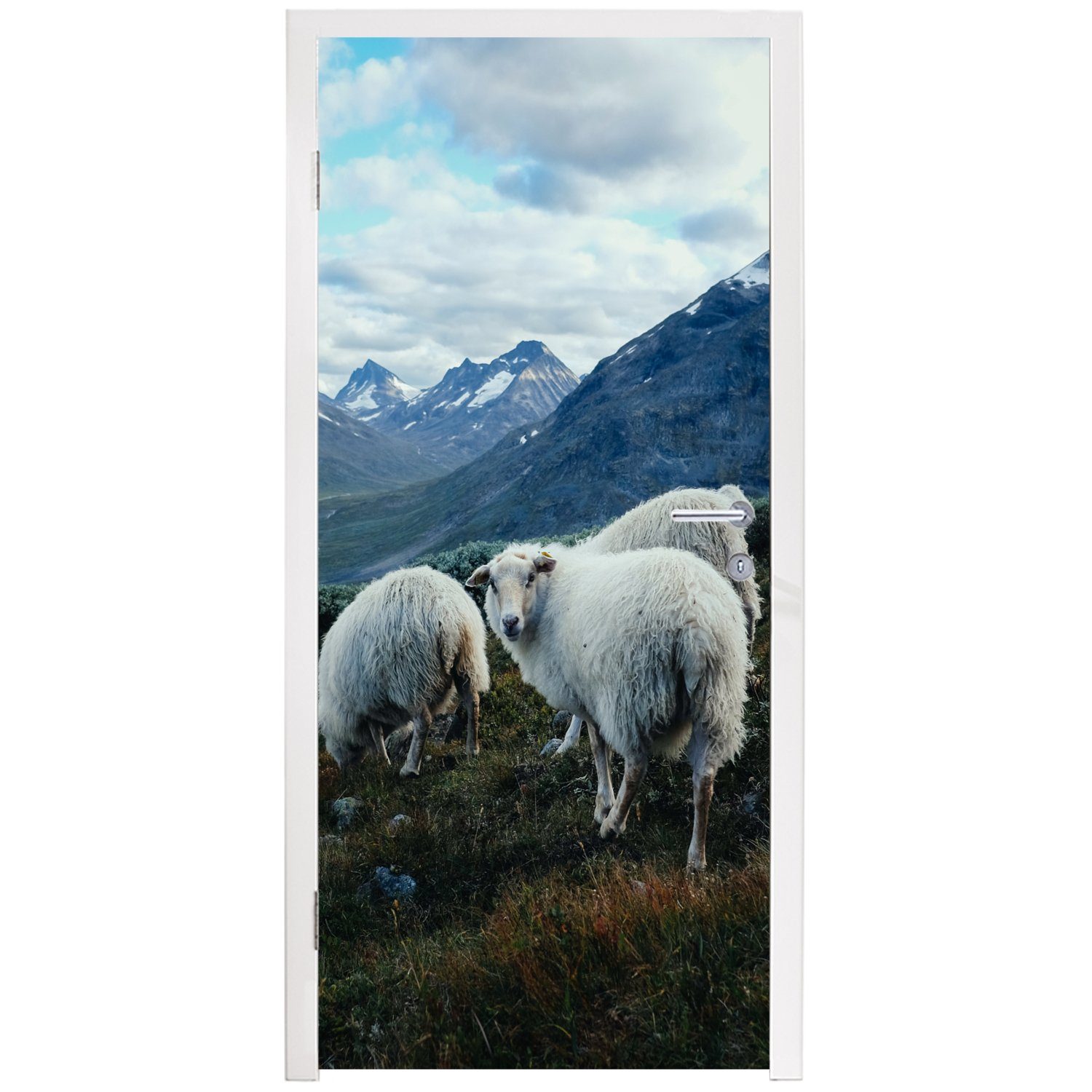 Schafe St), - cm Türtapete Türaufkleber, MuchoWow für Tür, Berge, Natur Matt, - (1 Fototapete bedruckt, 75x205