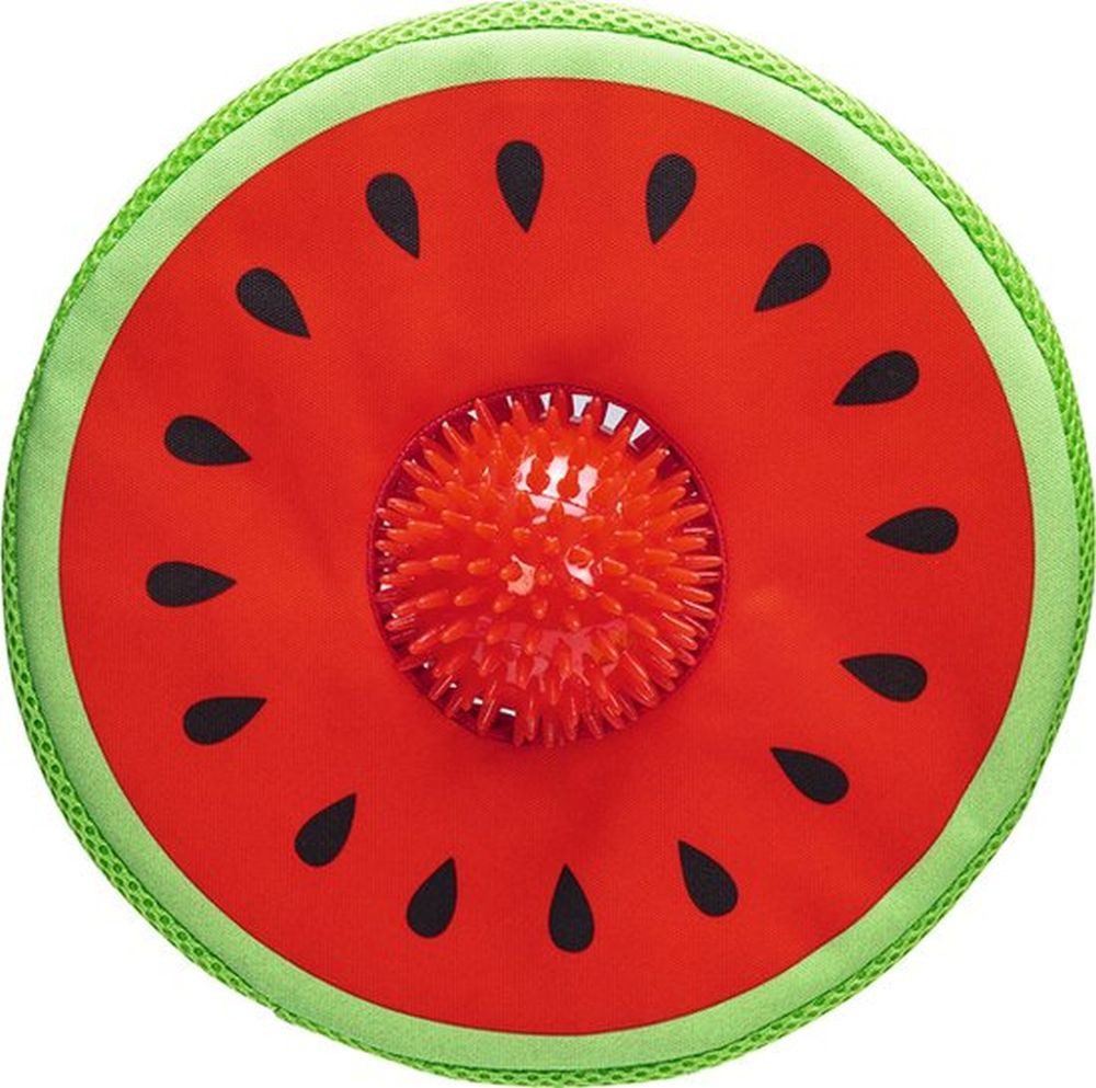 Beeztees Outdoor-Spielzeug Neopren Hundespielzeug Frisbee schwimmfähig günstig online kaufen