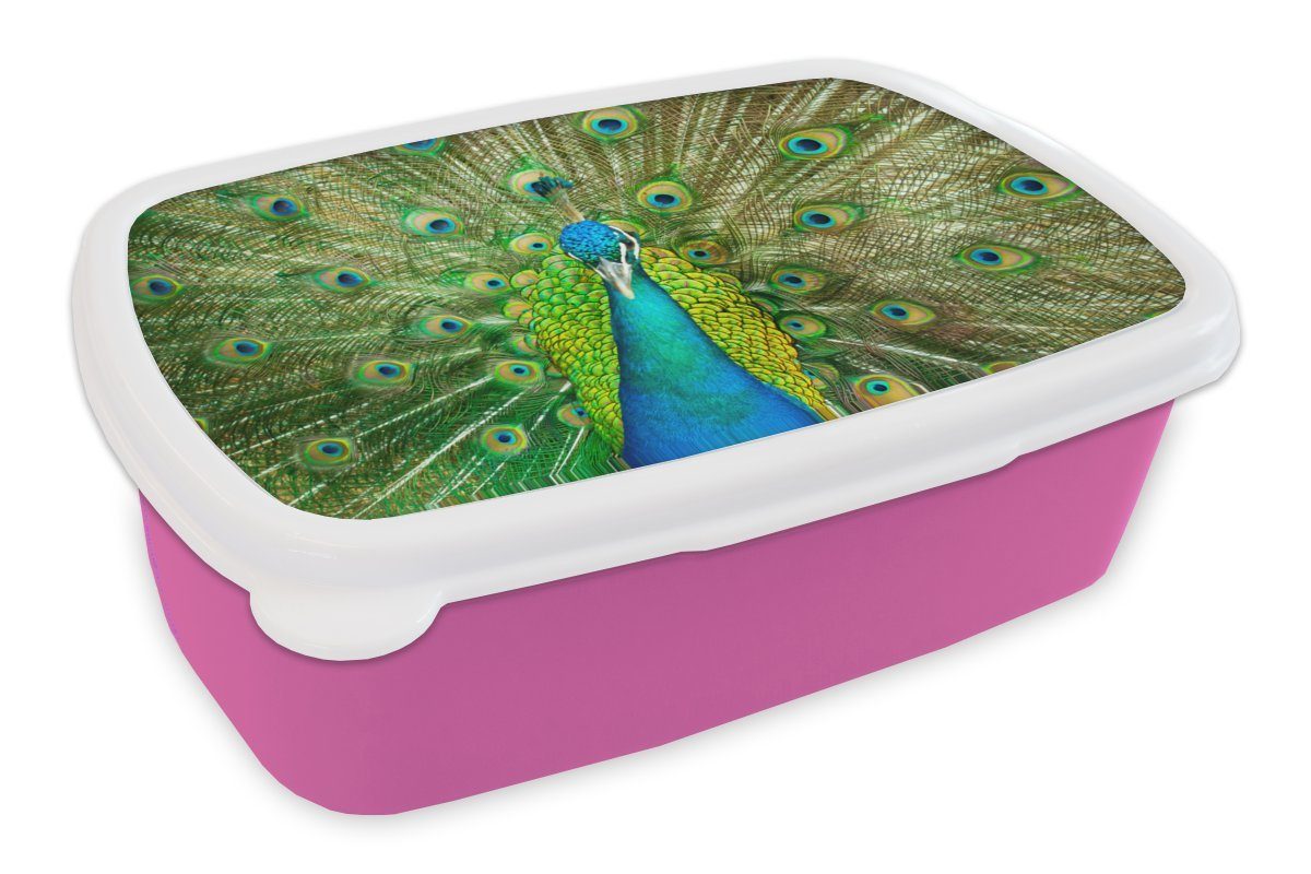 Brotdose Kinder, Brotbox rosa Snackbox, Lunchbox Mädchen, (2-tlg), MuchoWow Indien, - Kunststoff, für Kunststoff - Erwachsene, Pfau Nahaufnahme