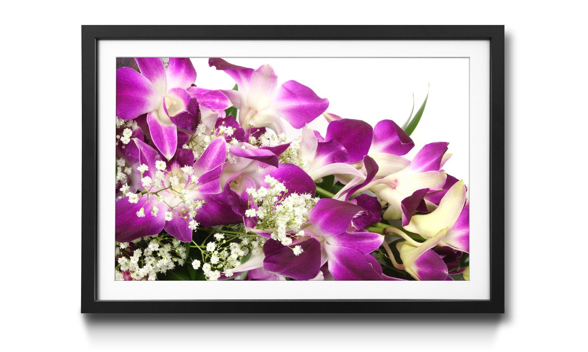 Orchid Wandbild, erhältlich mit in Rahmen 4 Blossom, WandbilderXXL Bild Größen Blumen,