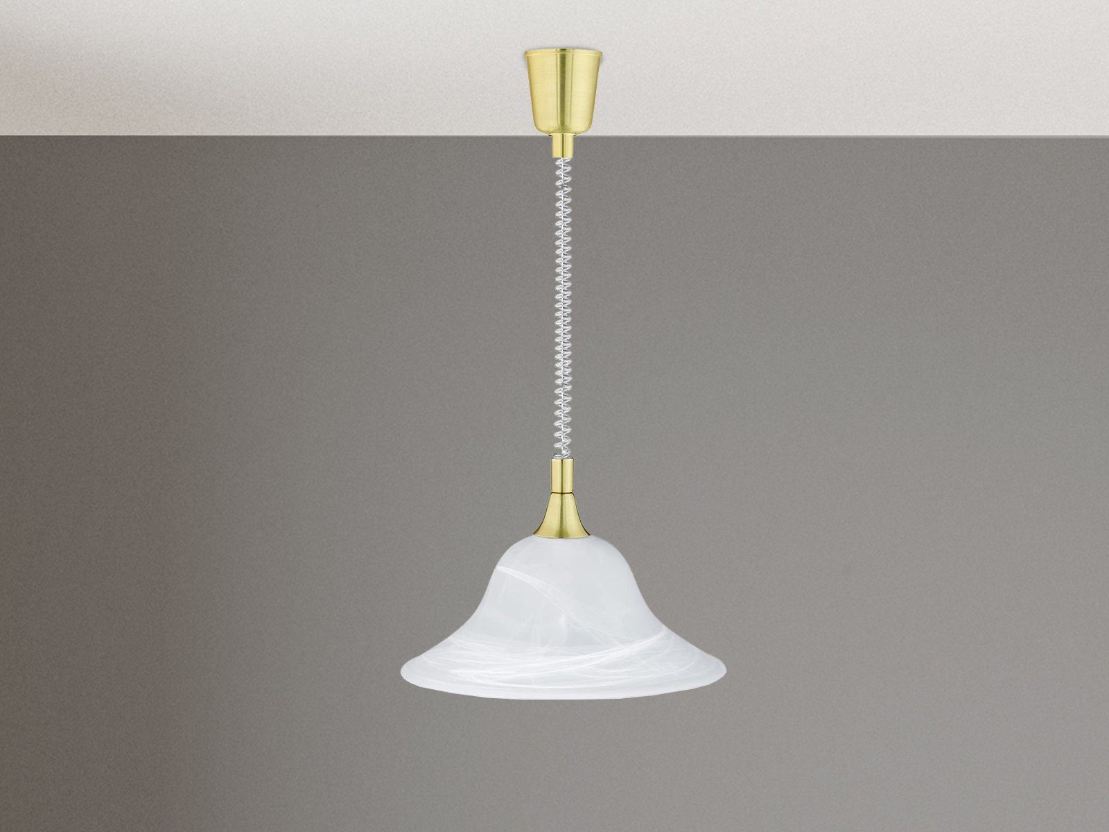 TRIO Leuchten LED Pendelleuchte, LED wechselbar, günstig online kaufen