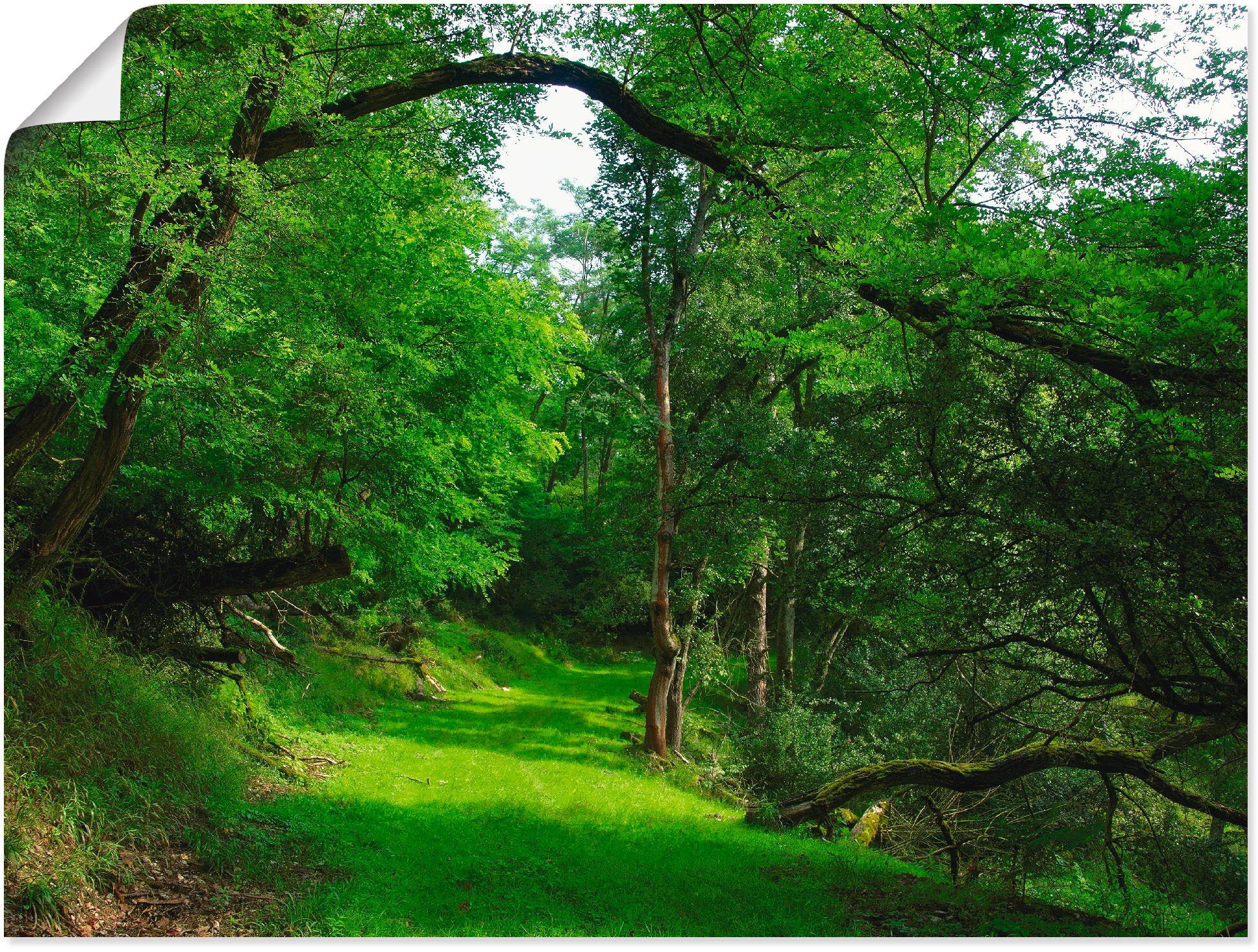 Artland Wandbild Grüner Weg durch den Wald, Wald (1 St), als Leinwandbild, Wandaufkleber oder Poster in versch. Größen