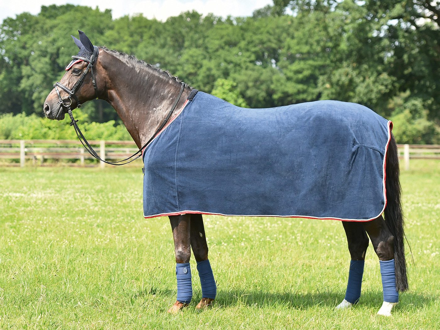 BUSSE Pferde-Abschwitzdecke Busse Abschwitzdecke WAVE