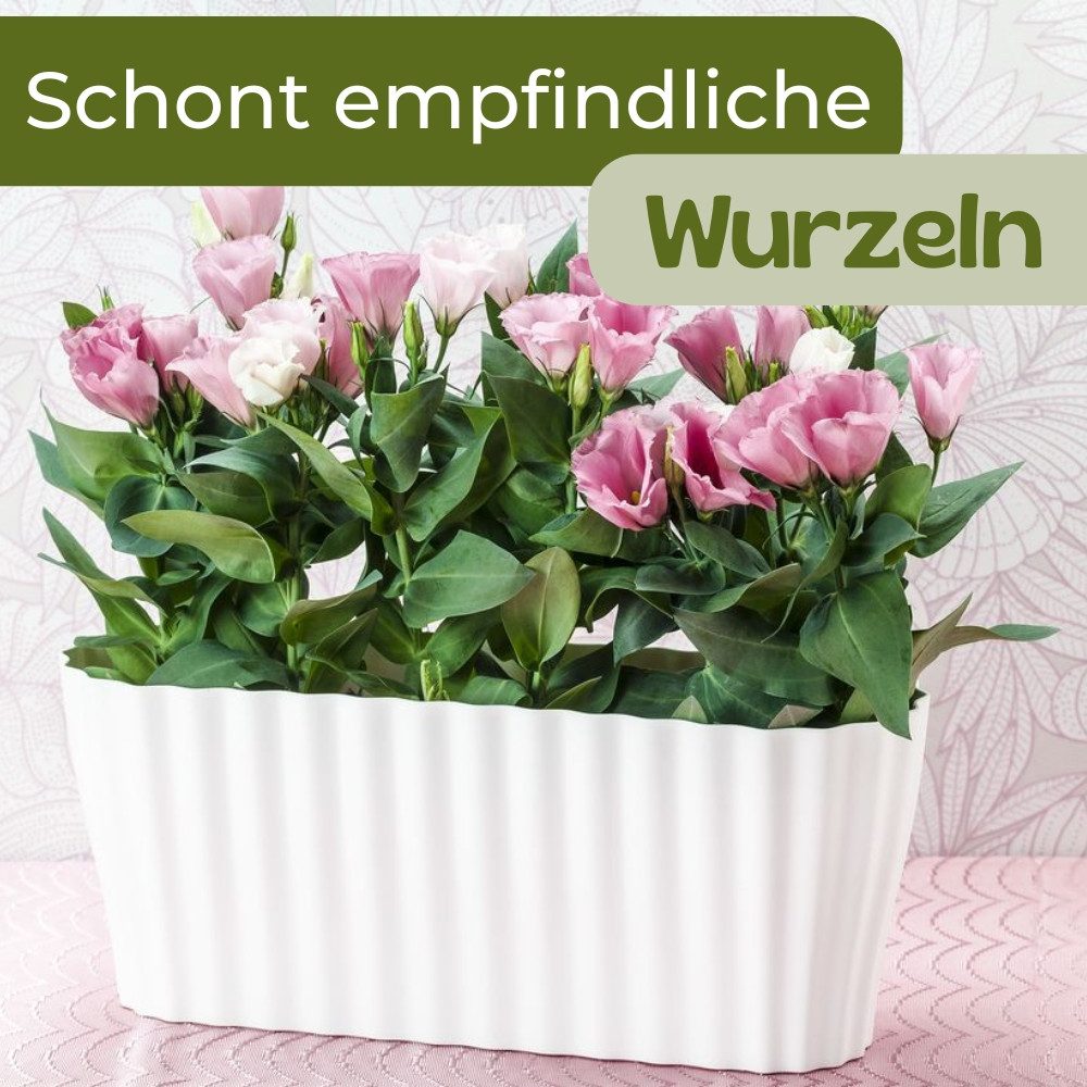 GarPet Blumentopf Orchideentopf Transparent Länglicher Orchideenkasten mit Stufenboden – Bild 4 von 5