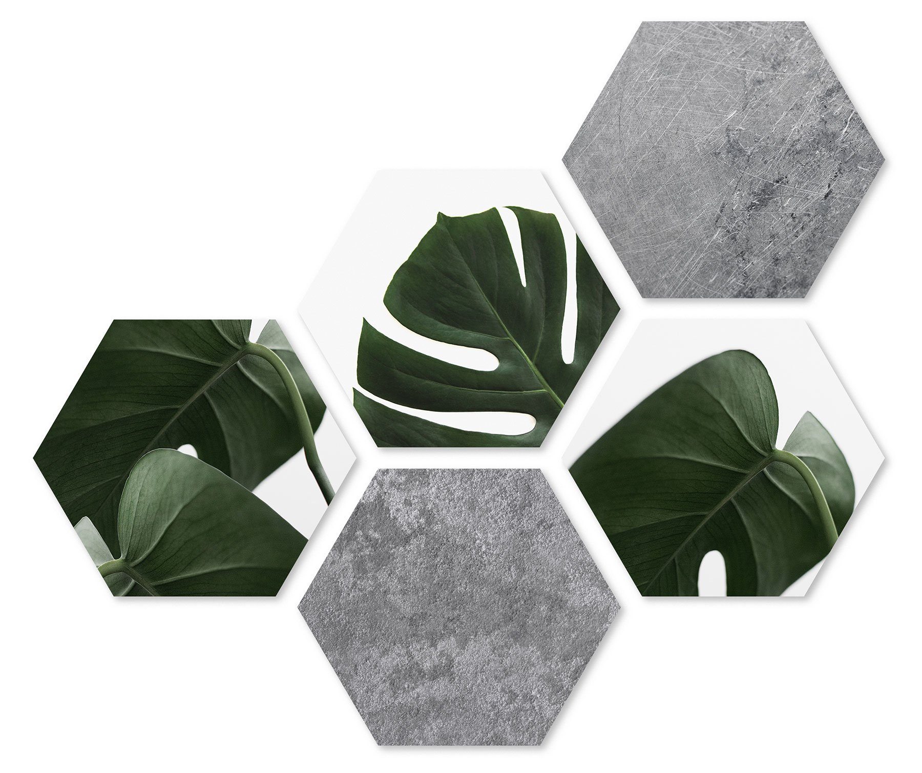 Levandeo® Wandbild, 5er Set Wandbilder je 28x32cm Wanddeko Hexagon Monstera Betonoptik