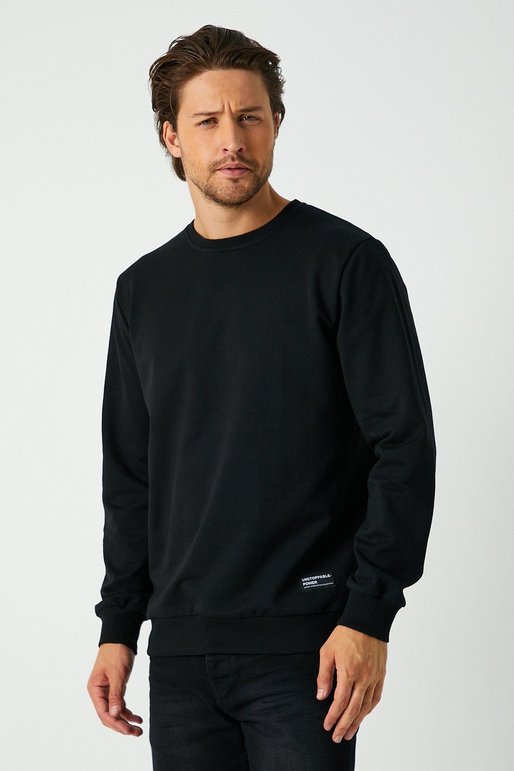 Sweatshirt Herren Pullover bequeme Sweater