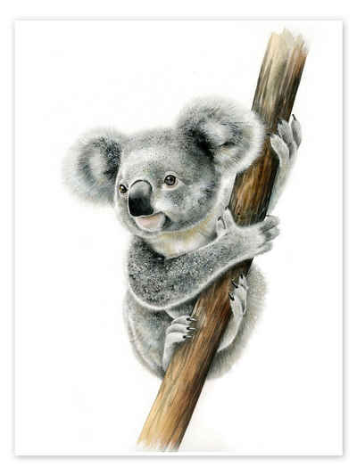 Posterlounge Poster Fiona Osbaldstone, Koalabär, Jungenzimmer Malerei