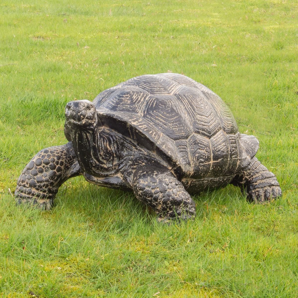 Oriental Galerie Dekofigur Schildkröte Gartenfigur aus GRC - klein (1 St)