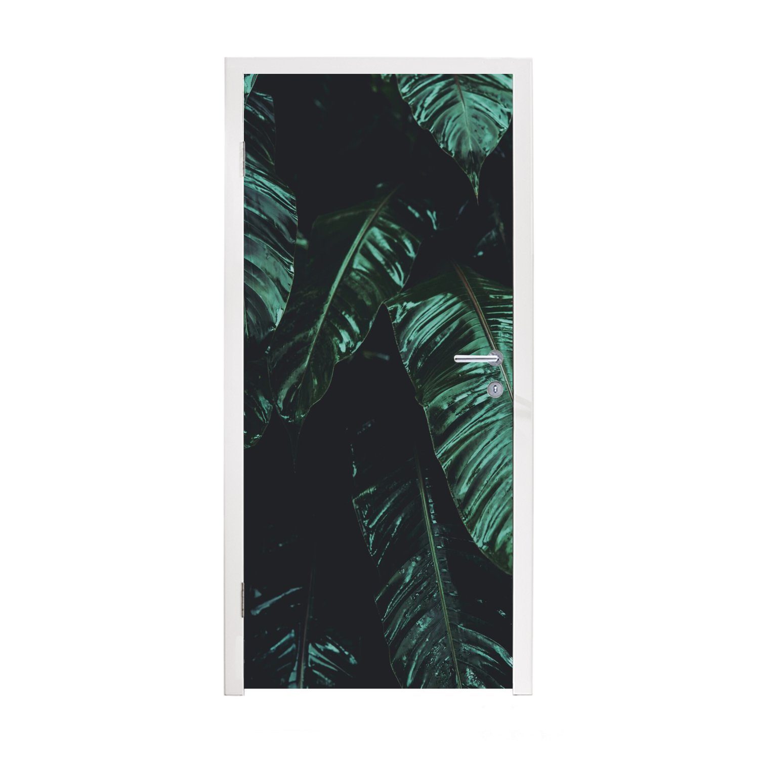 MuchoWow Türtapete Dschungel - Palme - Blätter - Tropisch, Matt, bedruckt, (1 St), Fototapete für Tür, Türaufkleber, 75x205 cm