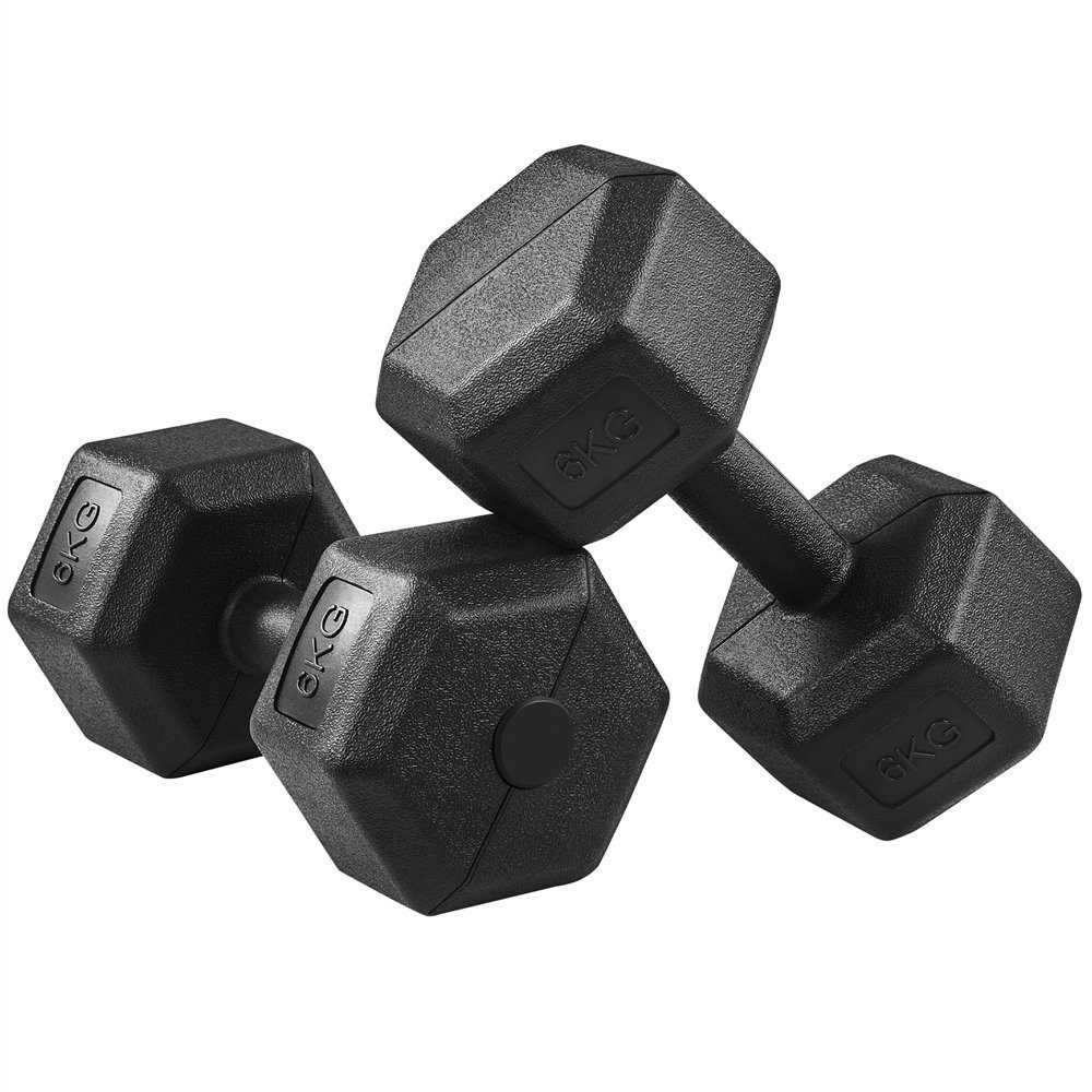 Yaheetech Kurzhantel 8/10/12/15/16/20 kg, (2er Set), 2er Kurzhanteln Hanteln Set für Krafttraining oder zu Hause
