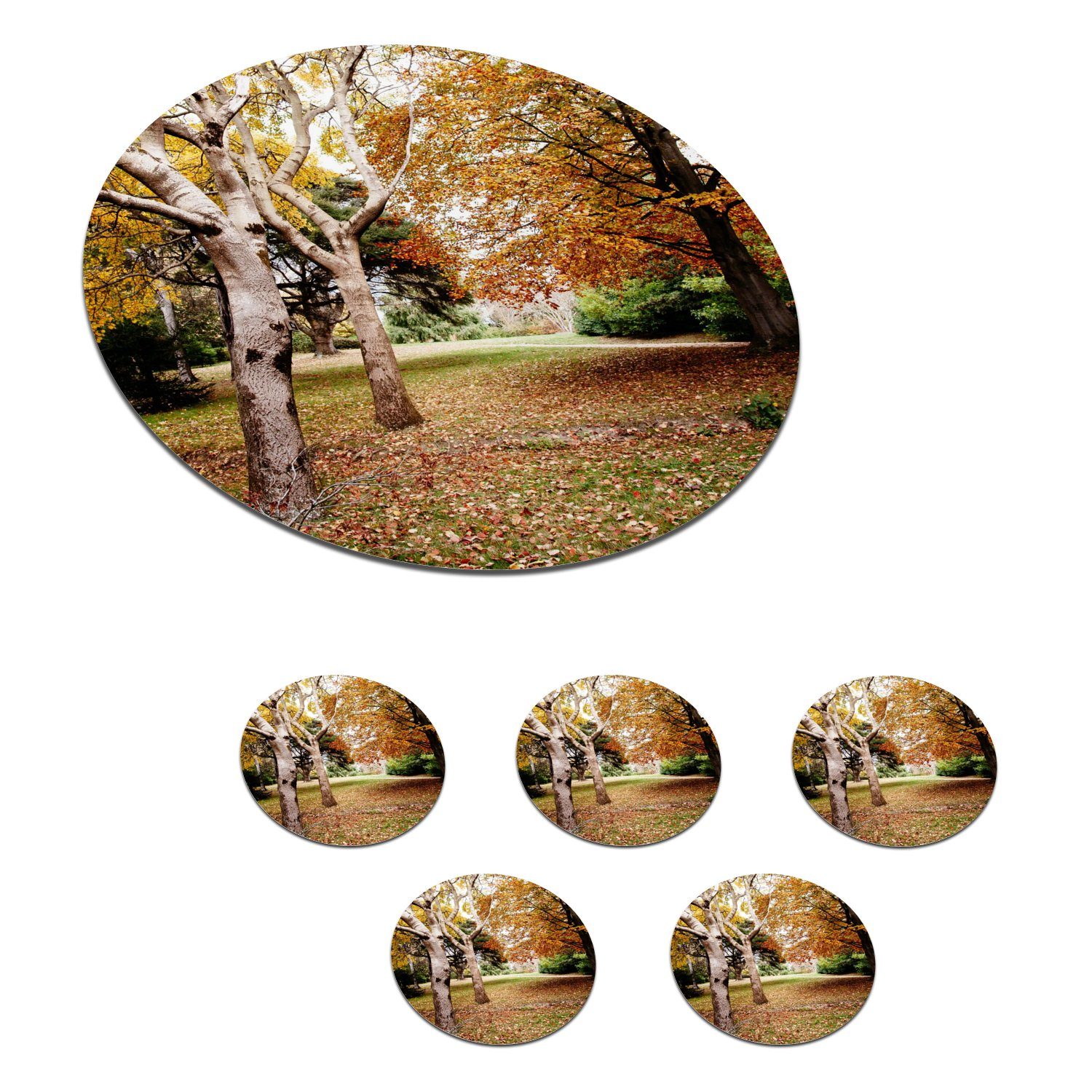 MuchoWow Glasuntersetzer Herbst - Bäume - Laub - Natur, Zubehör für Gläser, 6-tlg., Getränkeuntersetzer, Tassenuntersetzer, Korkuntersetzer, Tasse, Becher