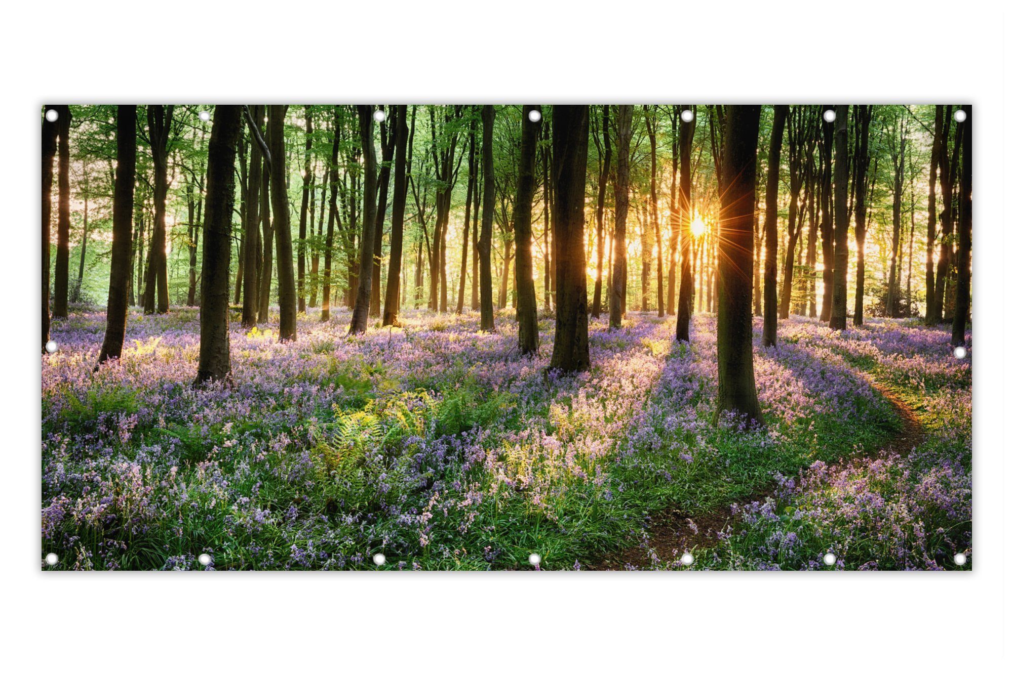 MuchoWow Balkonsichtschutz »Wald Blumen Lavendel Sonne Lila