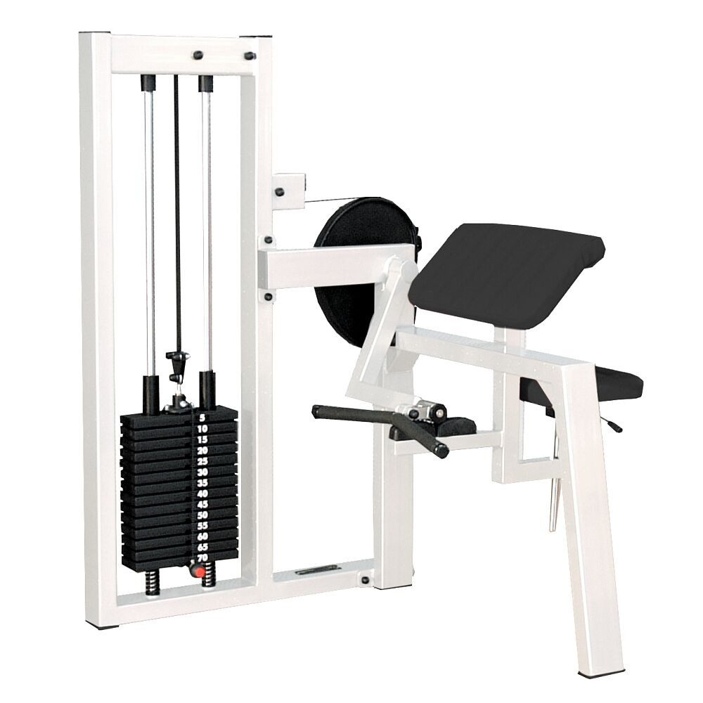 Kraftstation Bizepsmaschine SQ