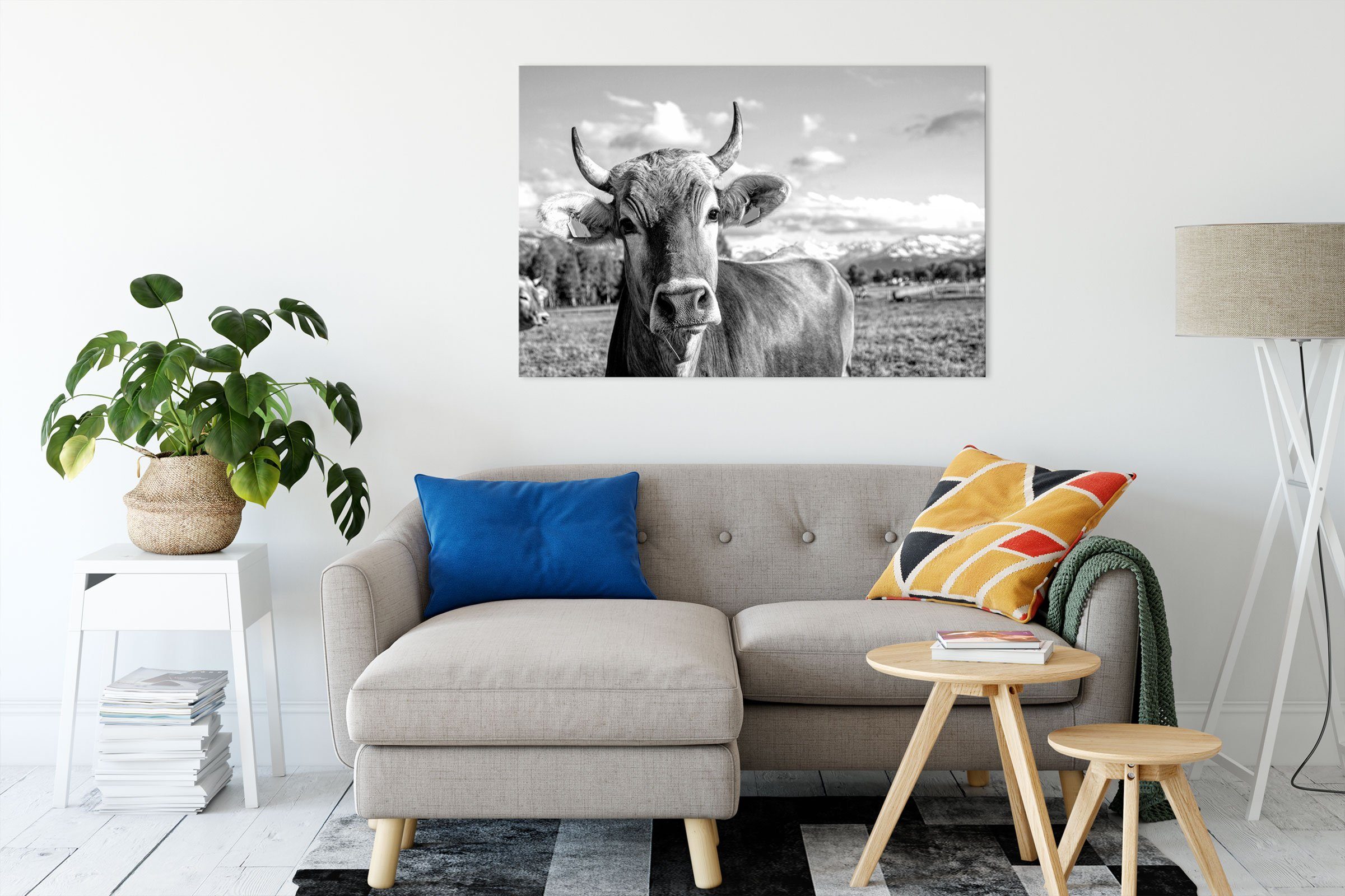 Pixxprint Leinwandbild Neugierige Kuh auf bespannt, Allgäu, Monochrome, im Monochrome Allgäu, Neugierige St), (1 Weide Kuh fertig Zackenaufhänger Leinwandbild inkl. im auf Weide