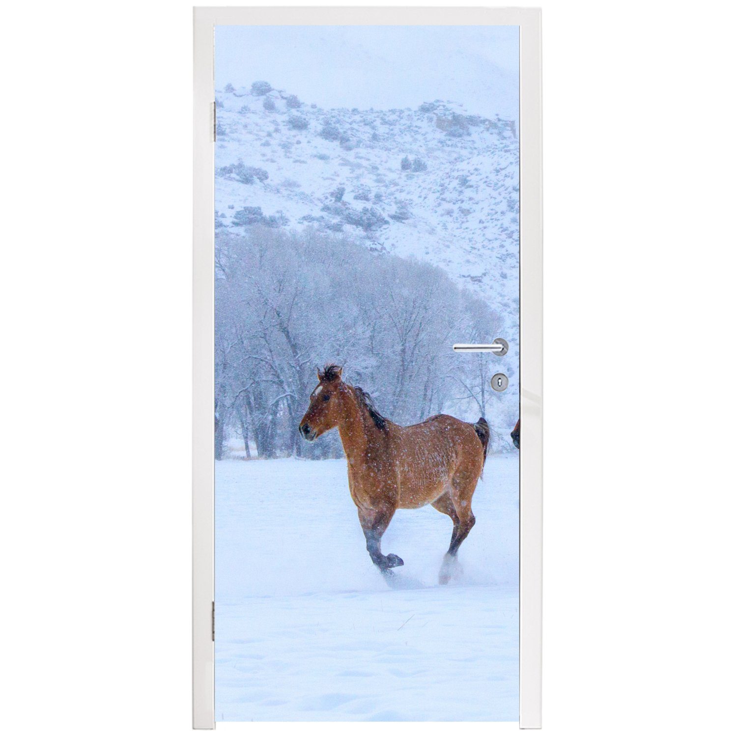 - 75x205 bedruckt, Türaufkleber, St), (1 Matt, - für Pferde cm Fototapete Türtapete Tür, Winter, MuchoWow Schnee