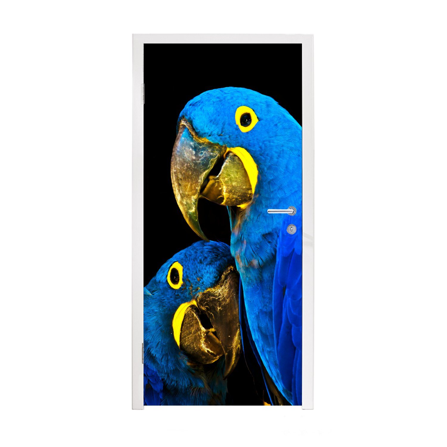 MuchoWow Türtapete Papagei - Blau, - Matt, 75x205 - Fototapete cm Tür, Federn für (1 Türaufkleber, St), Vogel bedruckt