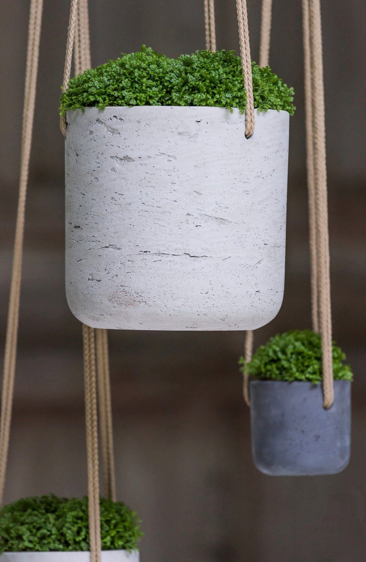 finestgreen Blumenampel Handgefertigte Blumenampel Hanging Charlie günstig online kaufen