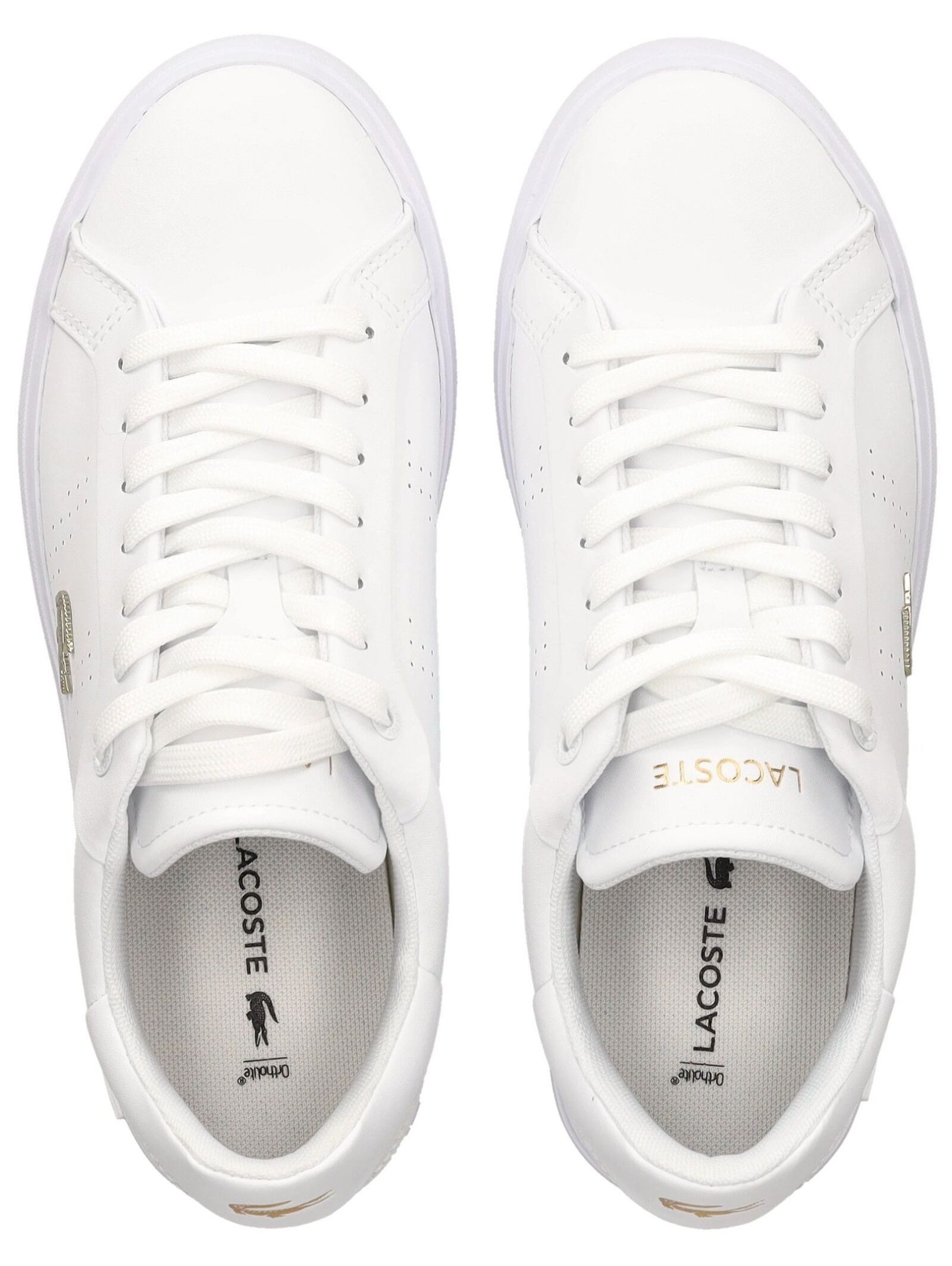 Lacoste lacoste Sneaker Leder/Synthetik Sneaker