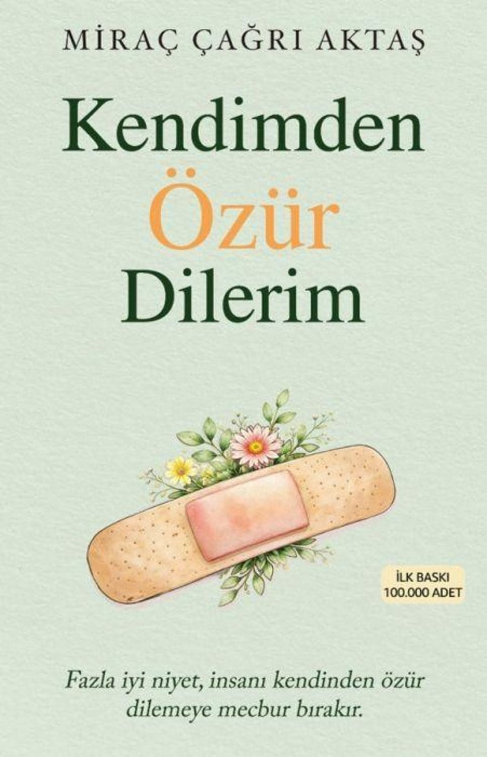 Kendimden Özür Dilerim / Mirac Cagri Aktas