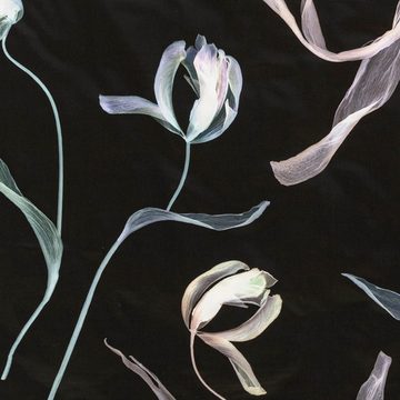 Bettwäsche Tulipa 7597 900 Schwarz, Estella, Mako-Satin, 2 teilig, Tulpen, Blüten, Florales Design