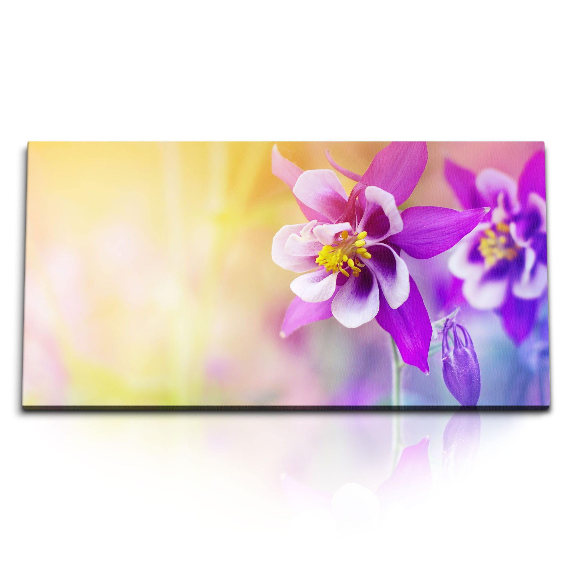 Leinwandbild Kunstdruck Bilder 120x60cm Blumen Blüten Sonnenschein Lila Sommer Kuns