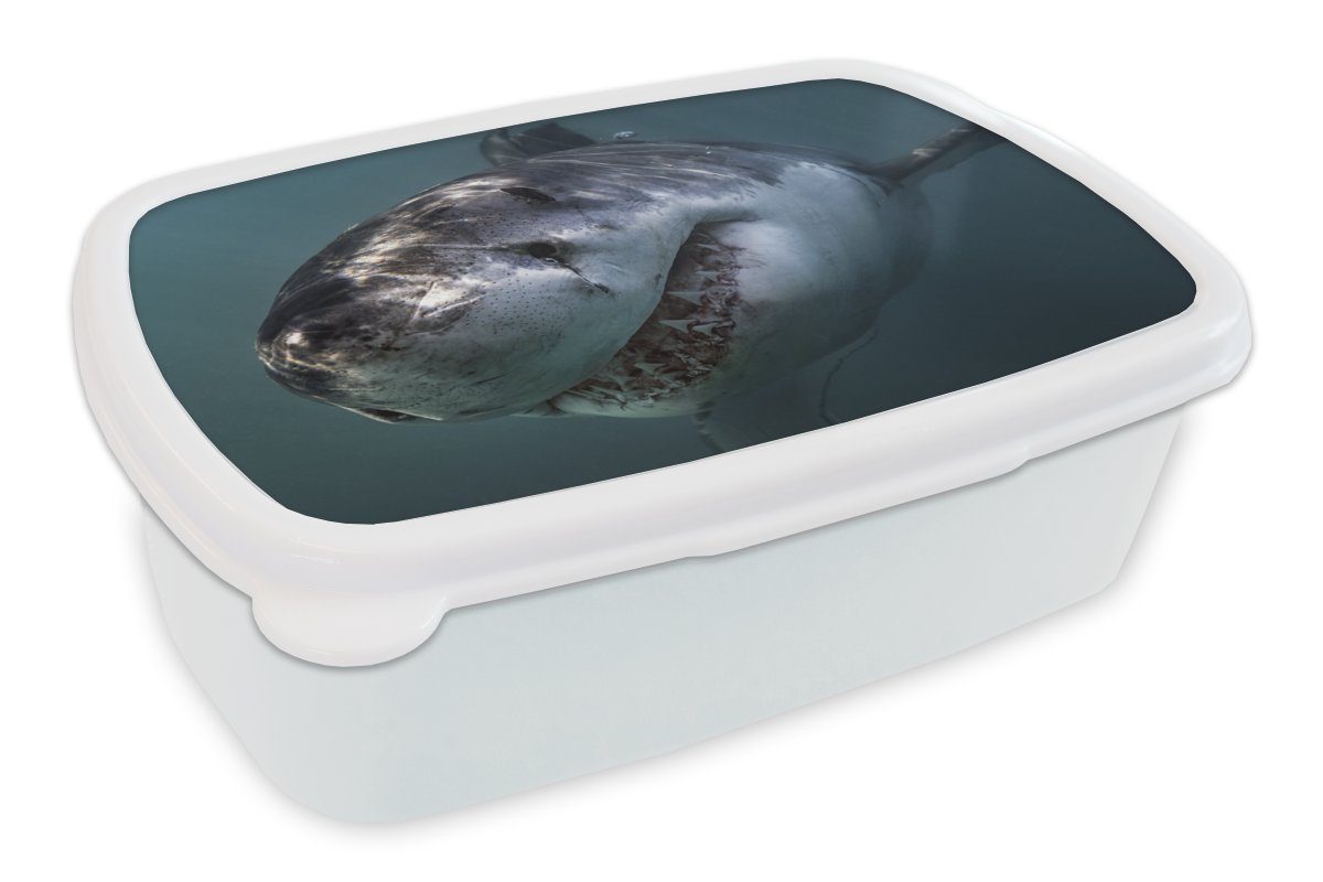 MuchoWow Lunchbox Hai - Weiß - Wasser, Kunststoff, (2-tlg), Brotbox für Kinder und Erwachsene, Brotdose, für Jungs und Mädchen