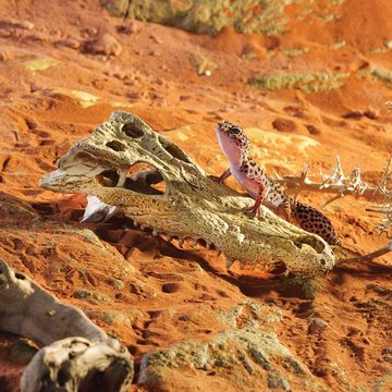 Exo Terra Terrariendeko Versteck Crocodile Skull