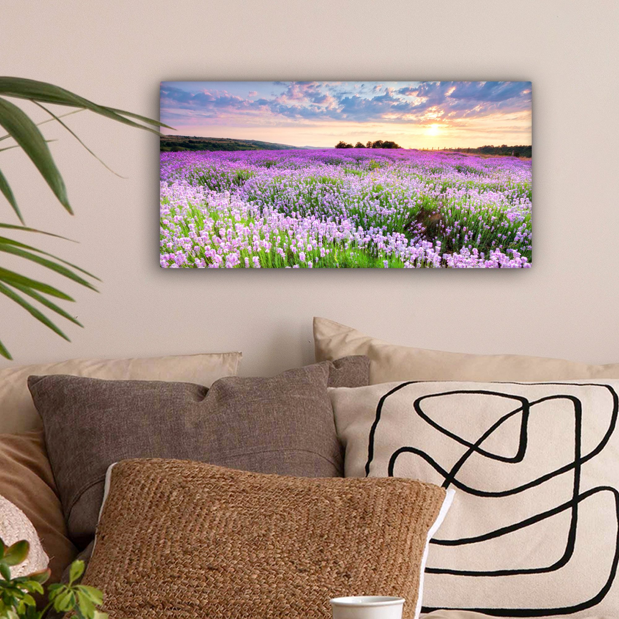 OneMillionCanvasses® Leinwandbild Panorama Lavendel - Blumen - Sonnenunterg günstig online kaufen